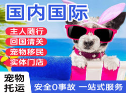 吐鲁番交河空运国际宠物托运 【国